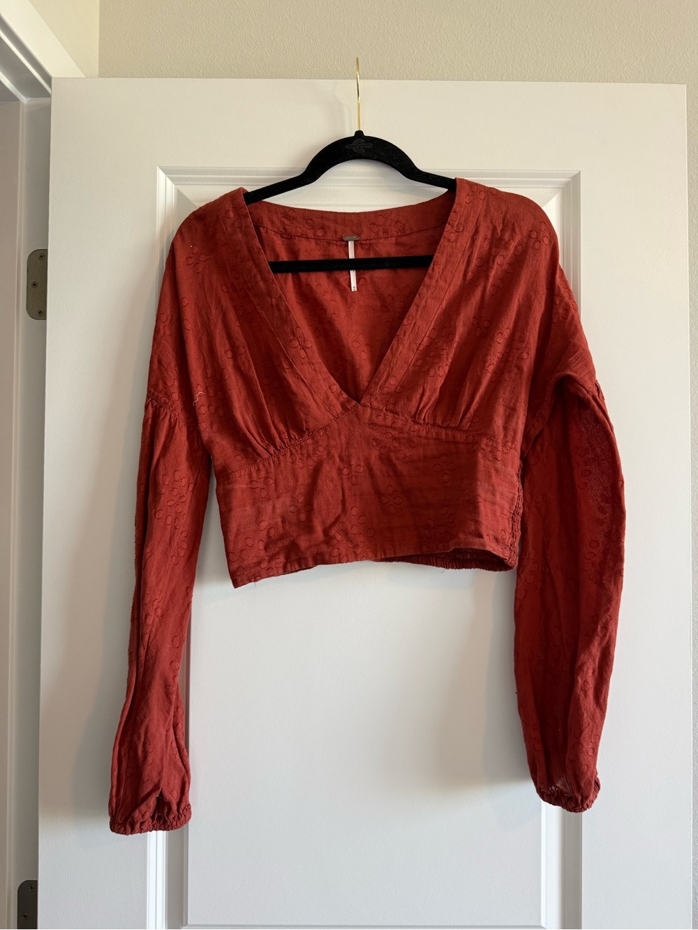 Free People Burnt Orange V-Neck Long Sleeve Crop Top